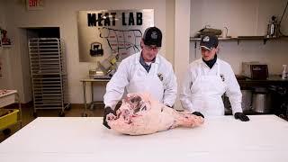 Beef Carcass Breakdown Tutorial