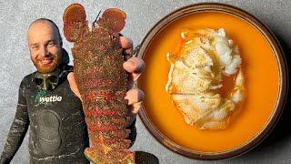 Slipper Lobster Chawanmushi Step by Step Catch & Cook