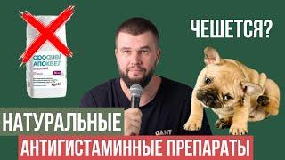 Как остановить зуд и расчесывание у собаки?