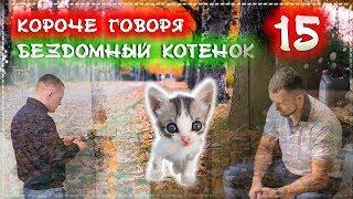 КОРОЧЕ ГОВОРЯ, Я БЕЗДОМНЫЙ КОТЕНОК Лайки 15 [От первого лица] История одной жизни