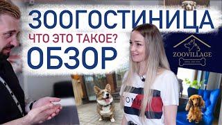 Отель для животных, что это такое? | Зоогостиница для собак и кошек моего подписчика | Zoovillage