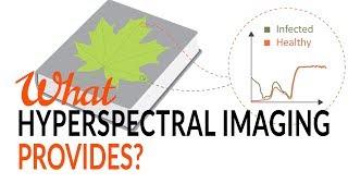 What Hyperspectral Imaging provides - Tutorial