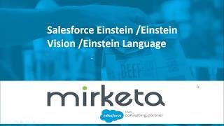 Fundamentals of Salesforce Einstein | What is Salesforce Einstein Vision | Einstein AI (Part 1)