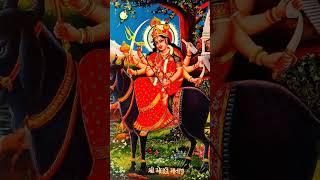 meldi ma | aai mari meldi