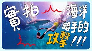 潛水人的夢想天堂｜鯊魚突然攻擊常勇?!!｜在船上睡五天四夜的日子【馬爾代夫八點檔】