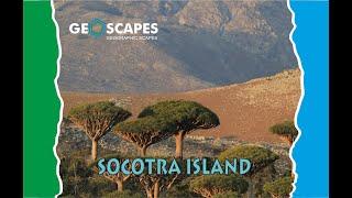 Socotra Island : Alien Island