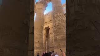 Mentally, im here. #travelgoals #ytshorts #globetrotter #egypt