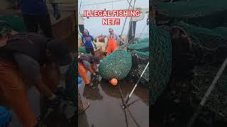 WORKING WITH NOAA WE got to use a illegal modification!! #shorts #commercialfishing #viral #seafood