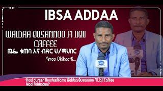 IBSA ADDAA Hundeeffamuu Waldaa Qusannoo fi liqii Caffee Ilaalchisuun Kenname.