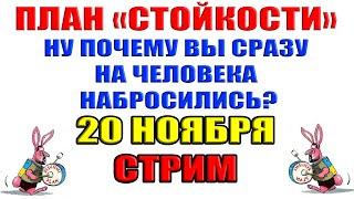 ПЛАН "СТОЙКОСТИ" ЗЕЛЕНСКОГО. Ну почему все сразу на человека набросились? 20 ноября в 22:00 мск