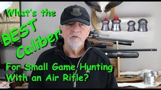 The Best Caliber for Hunting Small Game with an Air Rifle?