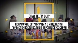 Исламские организации размером со страну! Знаете ли вы?