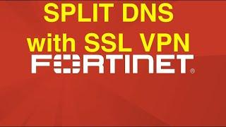 [Fortigate] Split DNS over SSL VPN. Configure/Troubleshoot Split DNS not working