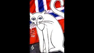 Subjekt: Haakonsen - Life and Times of a Sprocking Cat - Veeco/Volcom 1996