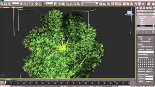 Speedtree и 3D MAX. Создание и анимация дерева.