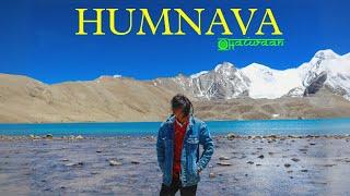 Humnava - Haiwaan | Offical Music Video | Dreamerz | 2024