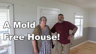 Whole-House Mold Remediation