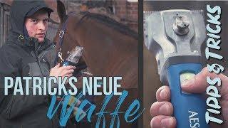 Wie wir unsere Pferde scheren! | Tipps & Tricks | RidersDeal