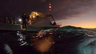 Preparing to dive at twilight off Kailua Kona, Hawaii