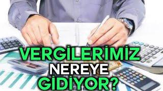 VERGİLERİMİZ NEREYE GİDİYOR?