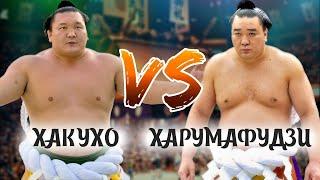 Харумафудзи VS Хакухо Сумо на русском 2025