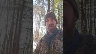 Cooking lamb after a cold night in the wild without a tent or sleeping bag. Check out full video