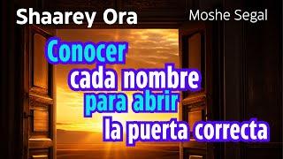 Clase 6 - Sharey Ora - Las Puertas de la Luz - Moshe Segal - Cabala