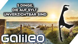 Deutschlands teuerstes Fleckchen Erde: 5 unverzichtbare Dinge auf Sylt | Galileo | ProSieben