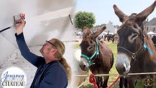Chateau Painting Problems and a French Donkey Day!