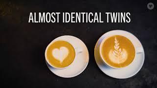 Barista Experience with Costa Coffee - Cappuccino vs Flat White