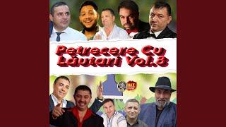 Petrecere Cu Lăutari, Vol. 8