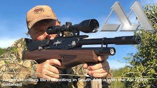 Airgun Hunting: Bird Shooting in South Africa with the Air Arms Galahad