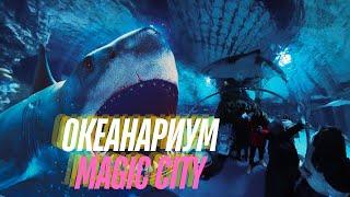 ОГРОМНАЯ АКУЛА в Magic City! Пингвины, скаты и многое другое! Океанариум в Узбекистане!