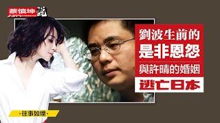 刘波生前的是非恩怨｜传世藏书｜与许晴的婚姻｜逃亡日本｜（20250130第440期）#往事如煙