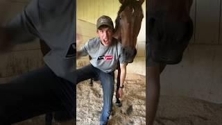 Evan & Keira try Cost n’ Mayor Dances - Part 5 #horsesandhumor #horse #equestrian