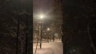 goodbye winter see you in December #winter #road where do the roads lead? Part one