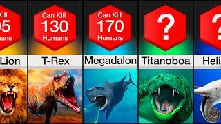 Comparison: Most Dangerous Predators In History