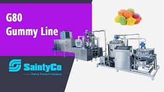 G-80 Automatic Gummy Production Equipment-saintyco