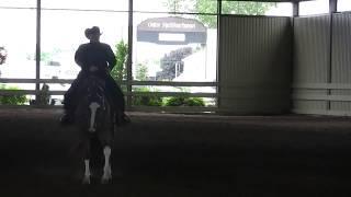 Horsemanship - Friday 2017 (Juin circuit QQHA)