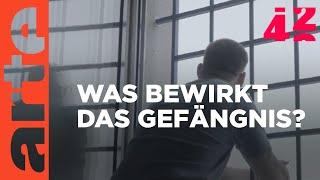 Was bringen Strafen? | 42 - Die Antwort auf fast alles | ARTE