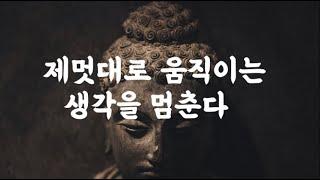 마음의 주인이 되는 법 ｜ 초역 부처의 말 ｜장원영 추천도서