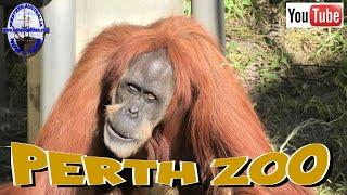 Perth Zoo - Updated Video  - Western Australia