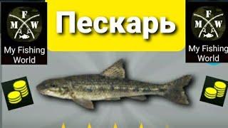 My Fishing World Пескарь ловим один за одним