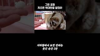 지하철에서 보면 안되는 웃긴 순간 1탄