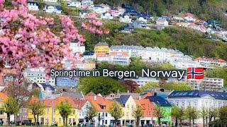 SPRING TIME in BERGEN,Norway/Analy MC