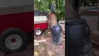 IH farmall M filling feed barrels #farmall #ih #hogger #pigfeed #pigfarmers #pigfarming #newpig