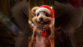 The CRAZY #squirrel  #Christmastree #egofilm 