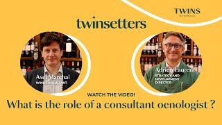 (EN) Twinsetters n°1 : what is the role of a consultant oenologist ?