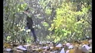 гр."Стекловата" - Просто осень