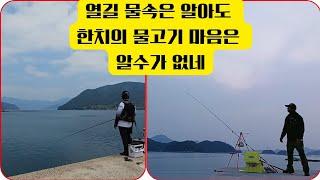 129. 통영 앞바다에 한가하게 떠 있는 섬 - 한산도 감성돔 방파제낚시 & 생활낚시포인트 1편 #통영낚시 #바다낚시 #감성돔낚시